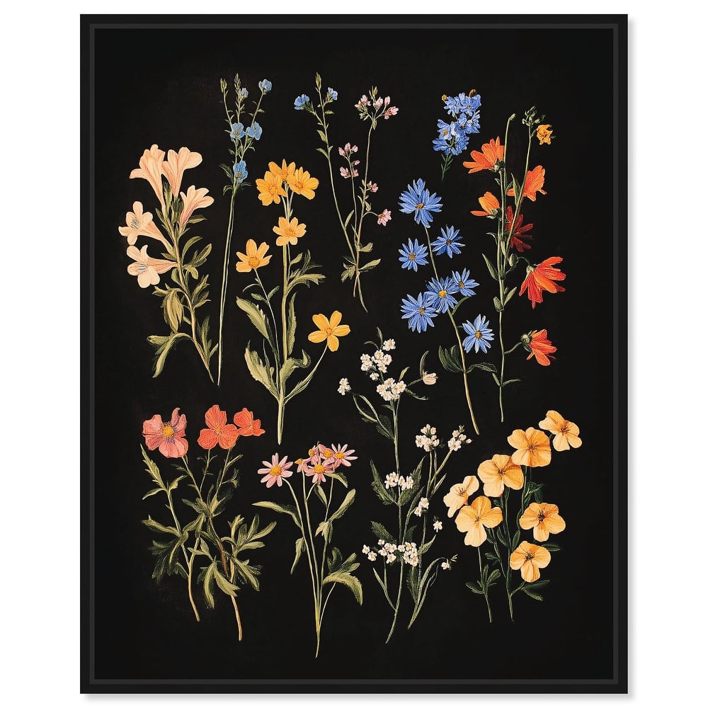 Darkling Daisies II Canvas by Art Remedy