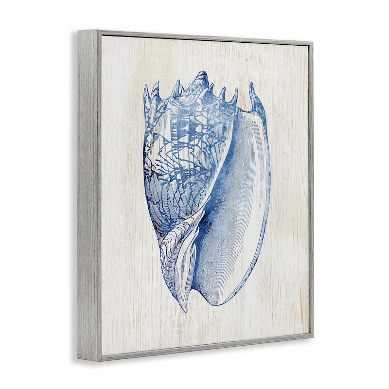 Stupell Nautical Soft Blue Conch Framed Giclee Art Design By Susan Arnot
