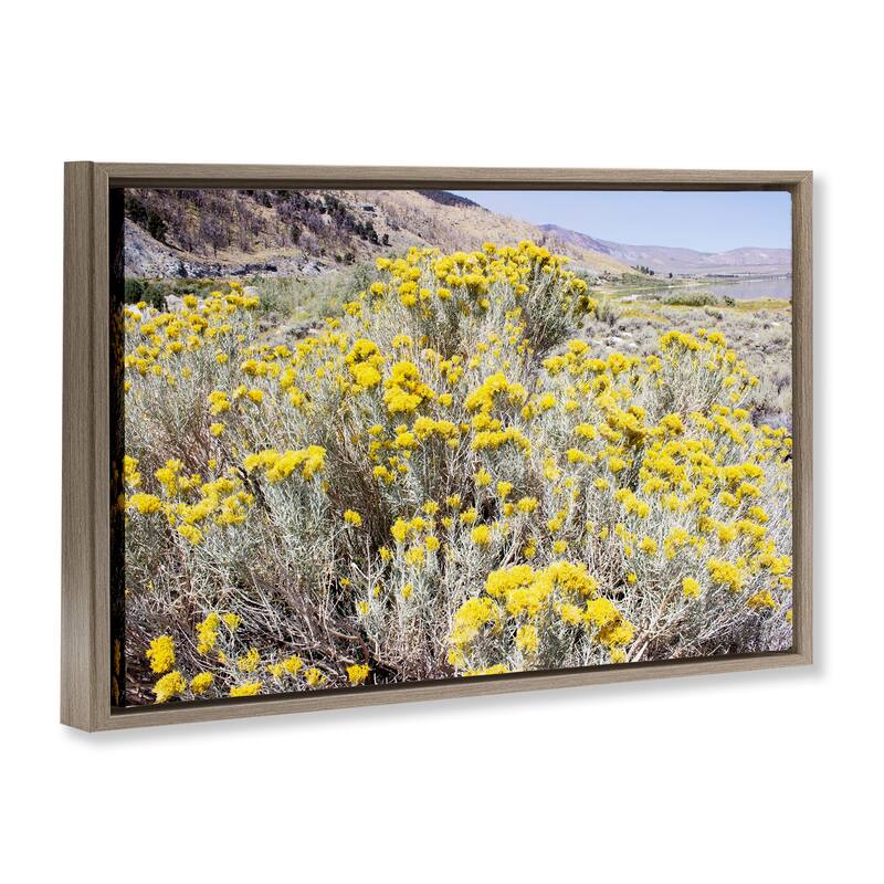 Stupell Yellow Flowers in Arid Meadow Framed Floater Canvas Wall Art Design By Gemma Bardot