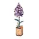 Option Lilac