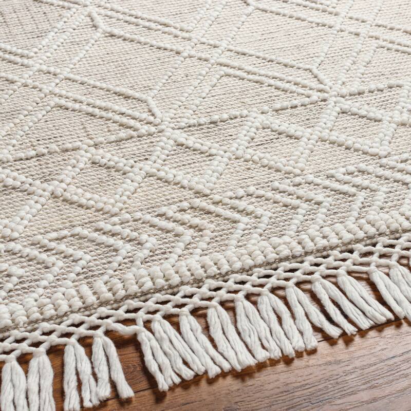 Artistic Weavers Arana Handmade Indoor/ Outdoor Bohemian Area Rug