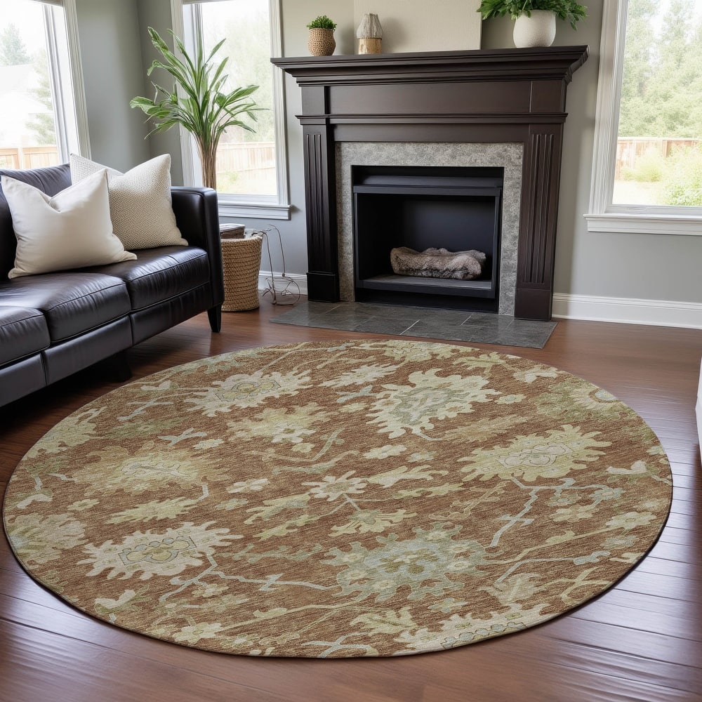 Premium Washable Super Soft Traditional Persian Mayfield Rug