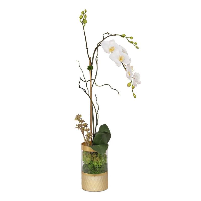 Silk Cream White Orchid Succulent Arrangement in Round Gold Glass Vase - 10W x 6.5D x 19H