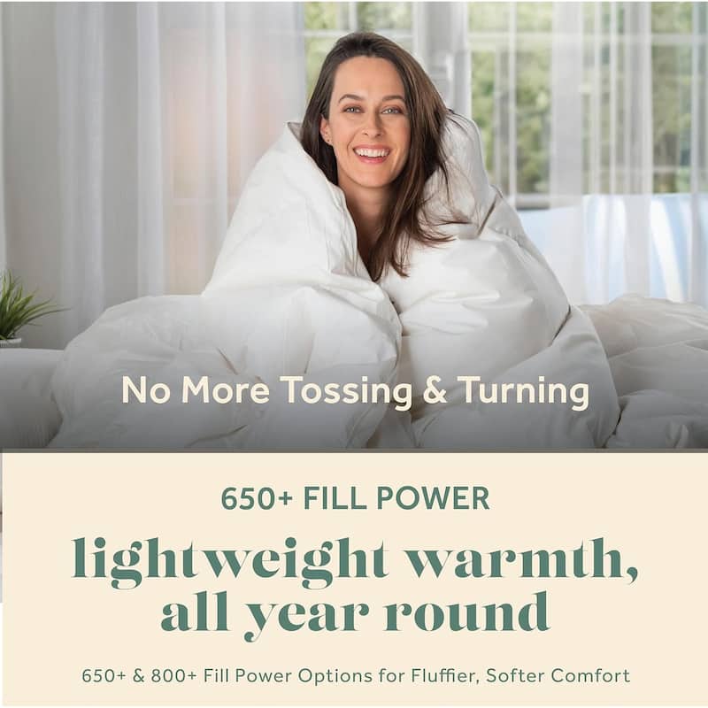 European Goose Down 650 Fill Power Comforter, Egyptian Cotton 600 TC Cover