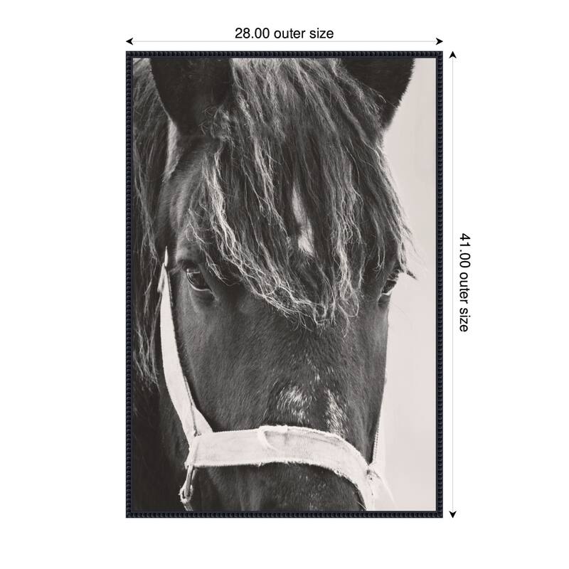 Kate and Laurel Black Horse by Emiko and Mark Franzen F2 Images Framed Canvas Wall Art Print