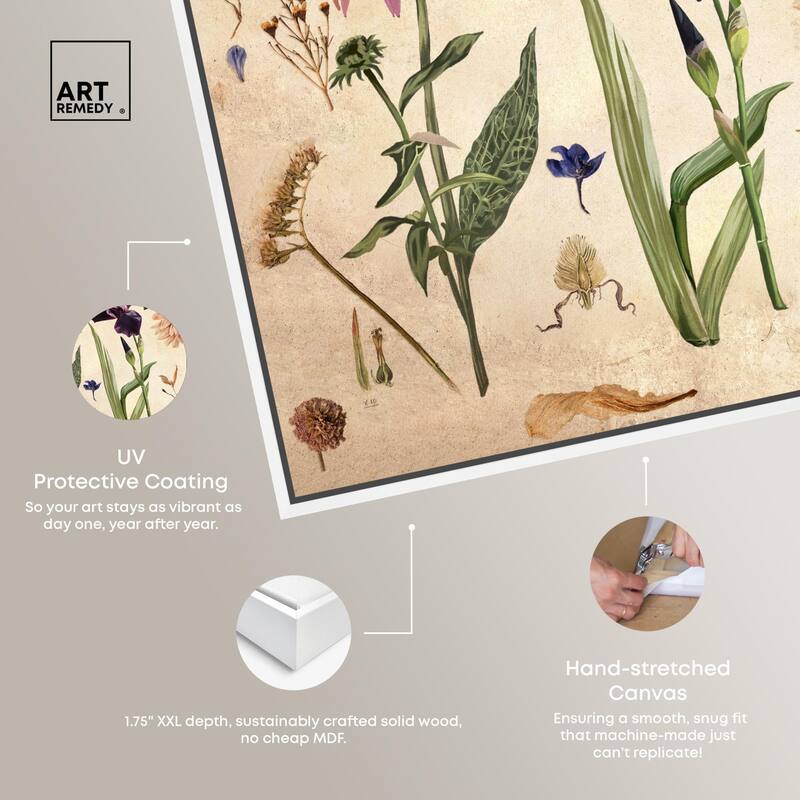 Floral Selection II Canvas by Art Remedy