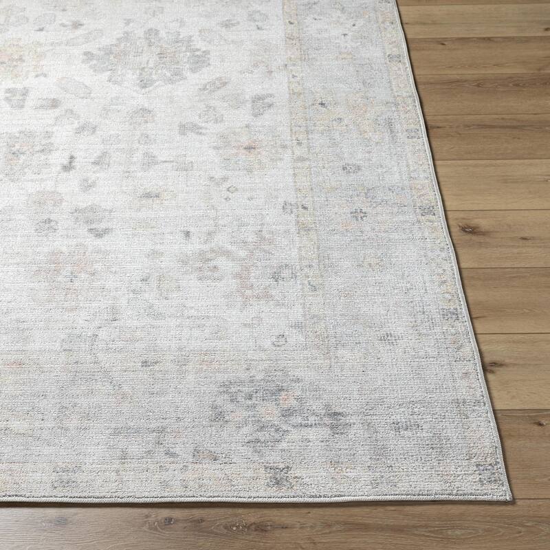 Haily Traditional Oriental Area Rug