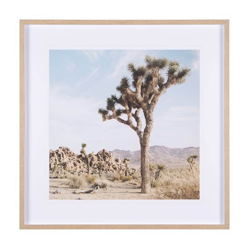 Joshua Tree 3