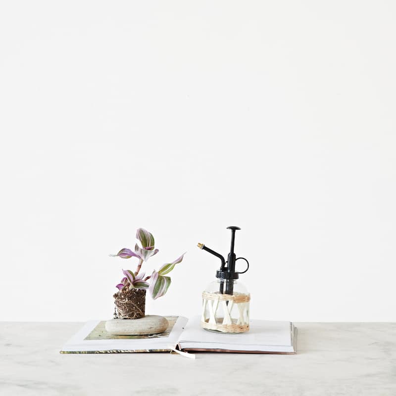 Glass Plant Mister with Woven Sleeve - 3.5"L x 3.0"W x 6.8"H