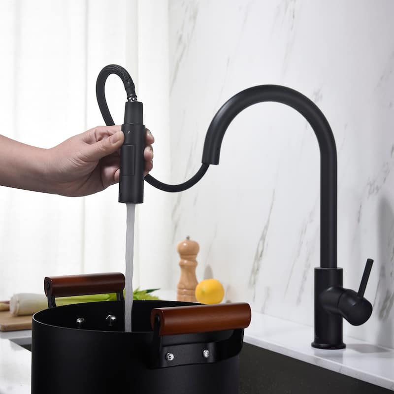 Blossom Solid Pull-Down Kitchen Faucet w/ 360 Swivel, Single Handle