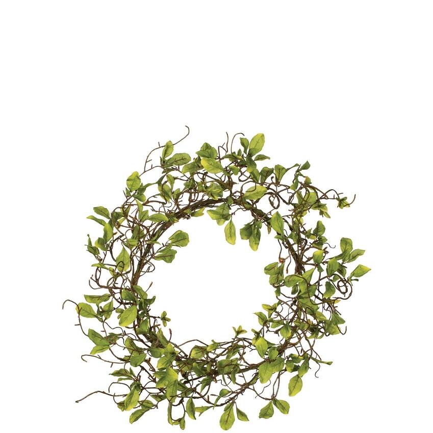 Sullivans Artificial Leaf & Twig Wreath 25"H Green