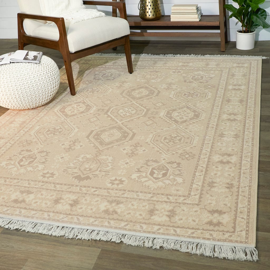 Rochford Traditional Medallion Recycled Area Rug