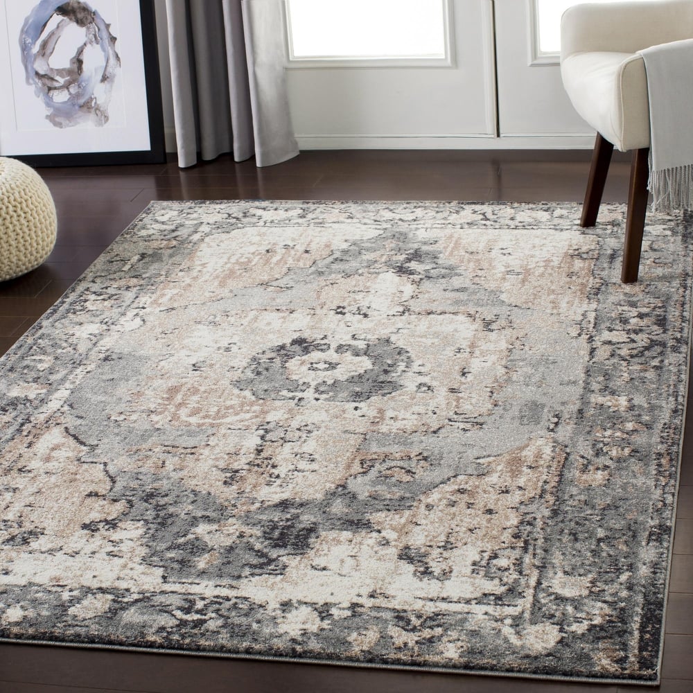 Livabliss Chelsea Vintage Area Rug