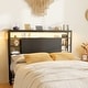 preview thumbnail 41 of 82, Headboards with Storage Shelves, Head Board with Power Outlet and LED Light for Bed Frame Black - Full