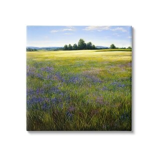 Stupell Vast Meadow Landscape Canvas Wall Art Design by Denise Dundon ...