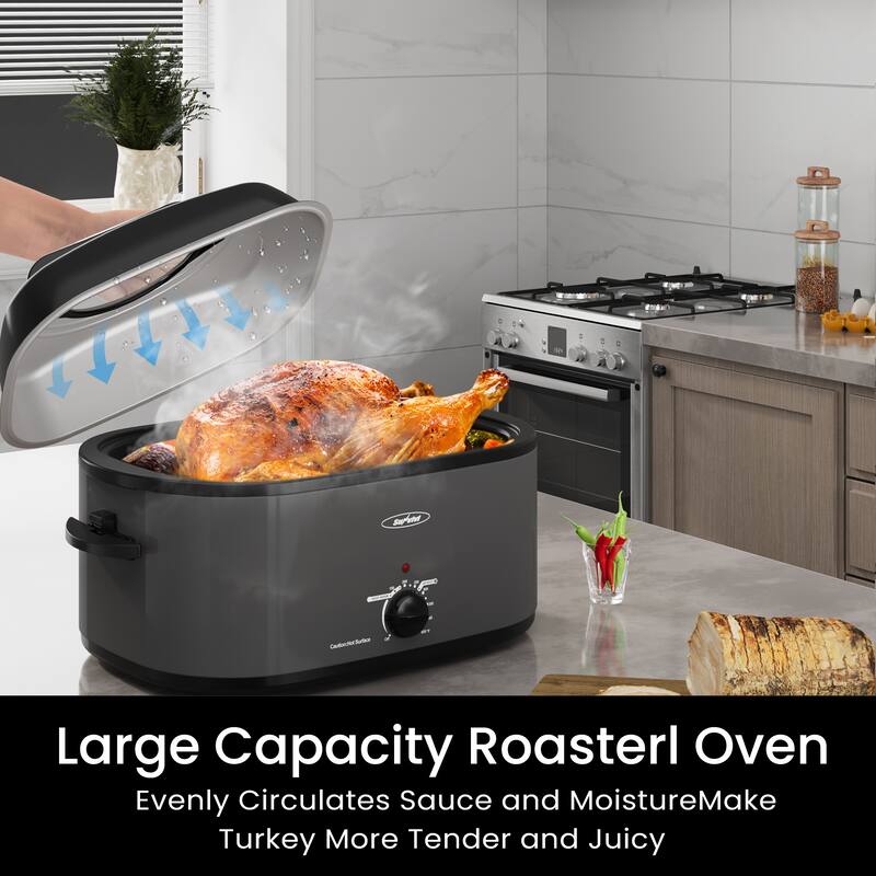 22qt Roaster Oven with Transparent Glass Lid Window, Removable Pan & Rack, Stainless Steel, Silver