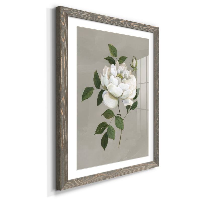 Botanical Rose-Premium Framed Print - Ready to Hang