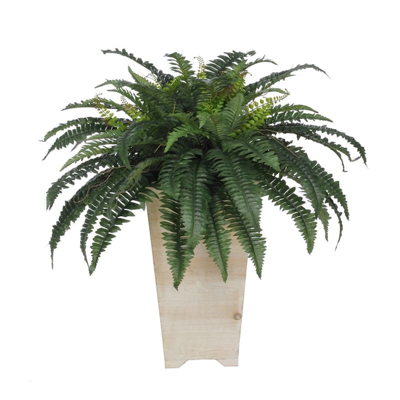 Faux Fern in Tall Washed-Wood Planter