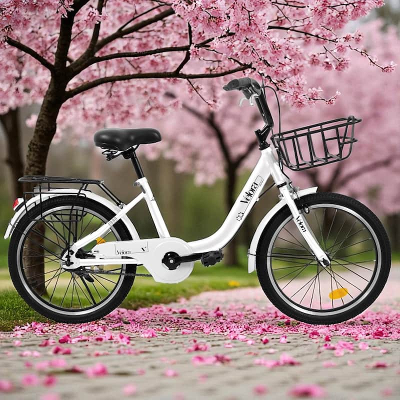 20 Inch Kids Bike for Boys & Girls, Single Speed Bicycle with Coaster Brake, V-Brake & Rear Rack