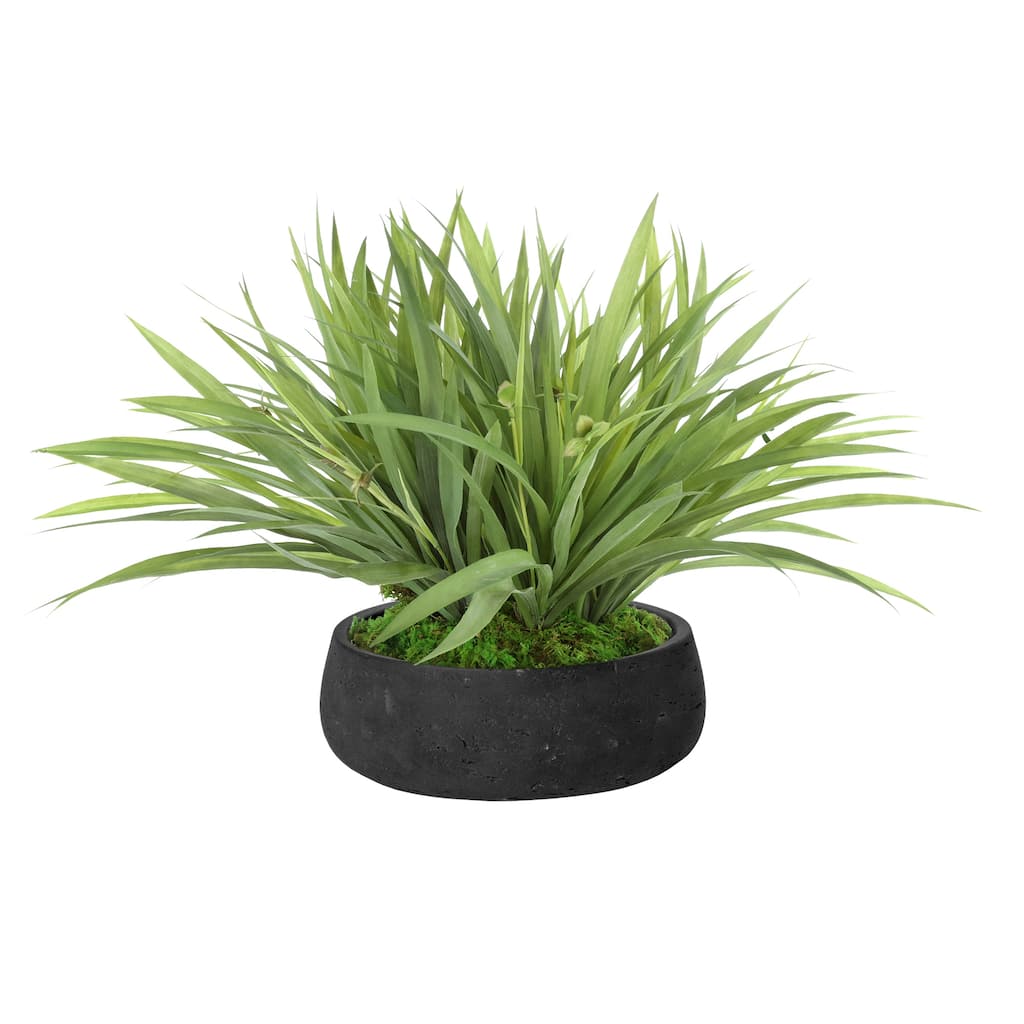 Grass Arrangement in Fiberstone Pot - 15