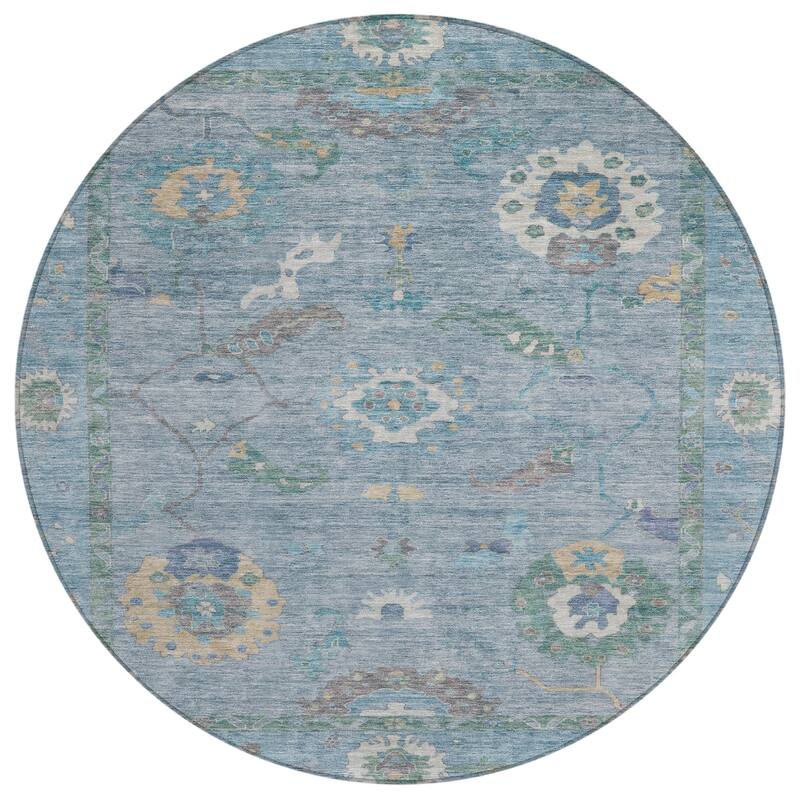 Machine Washable Indoor/ Outdoor Traditional Boho Chantille Rug