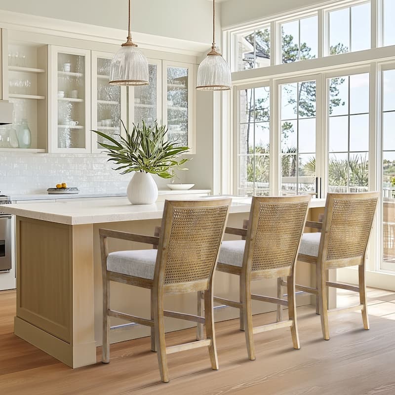 Madison Park Blaine Cream/Reclaimed Natural Cane Back Counter Stool - N/A