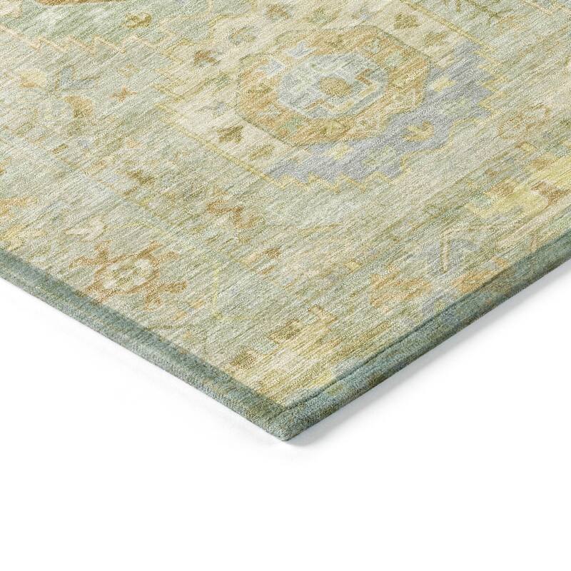Machine Washable Indoor/ Outdoor Vintage Traditional Chantille Rug