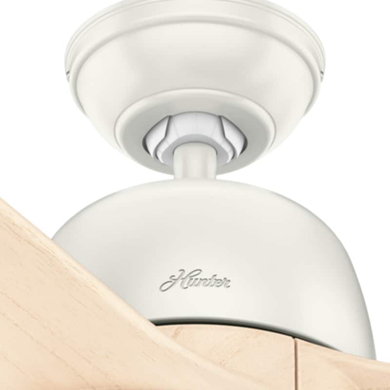 Hunter 54" Norden Ceiling Fan with LED Light Kit and Handheld Remote - Transitional, Modern, Contemporary