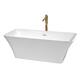 Option White / Shiny White Trim / Brushed Gold Faucet