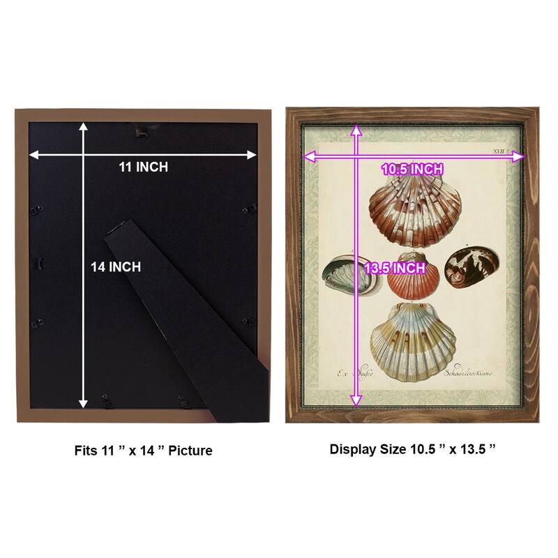 Bookplate Shells III -Framed Print w/glass-Cherry Red