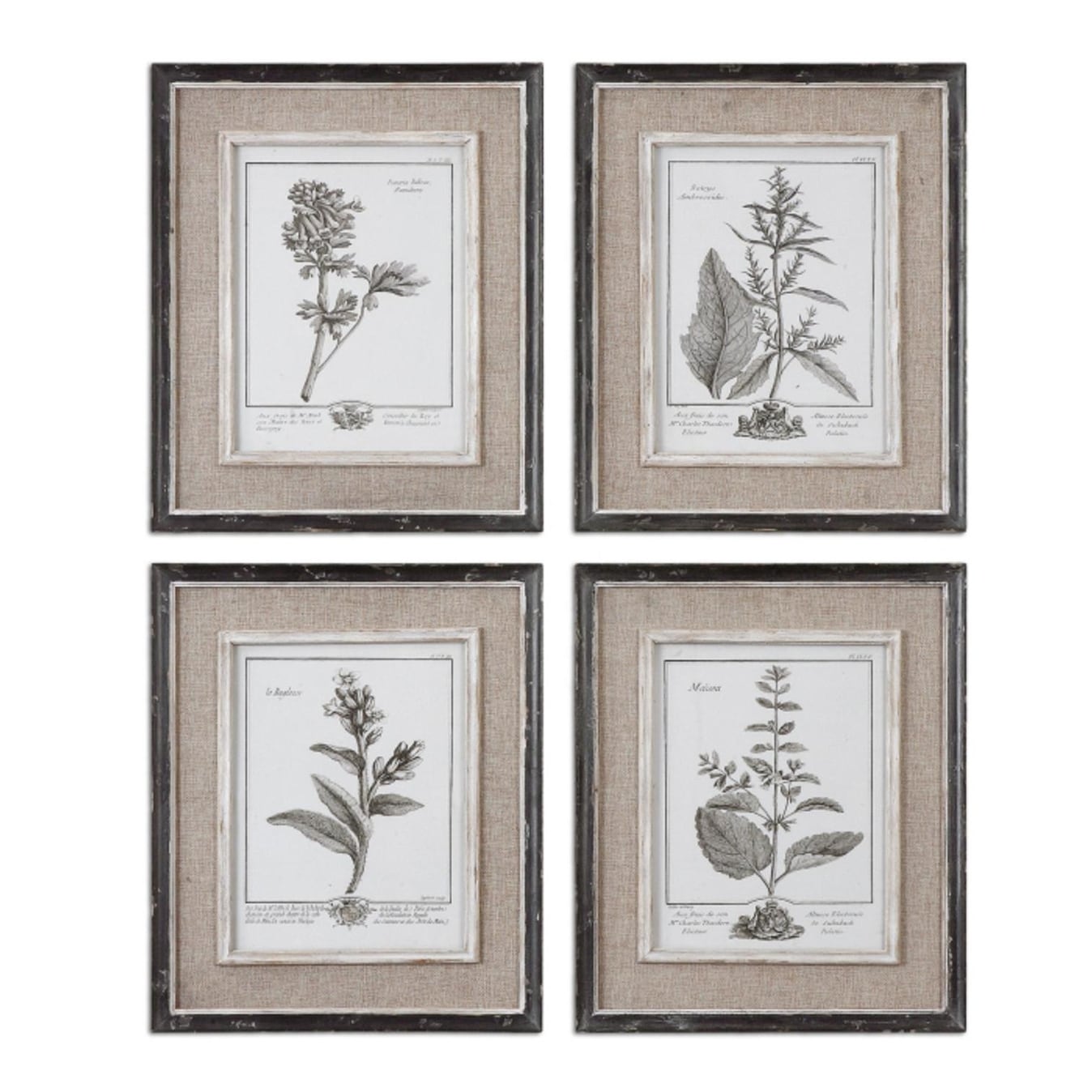 Set Of 4 Botanical Flower Study Prints Wall Art 18 Overstock 16614027