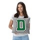 preview thumbnail 13 of 18, NCAA Ivy League 16 Inch Sweatshirt Pillow