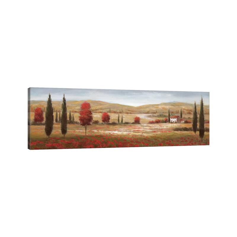 iCanvas "Tuscan Poppies I" by Nan Canvas Print