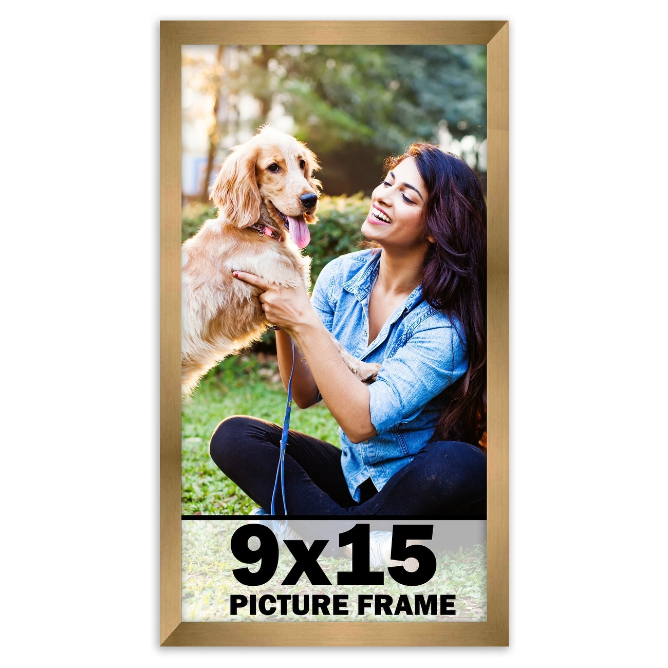 9x15 deals dog door