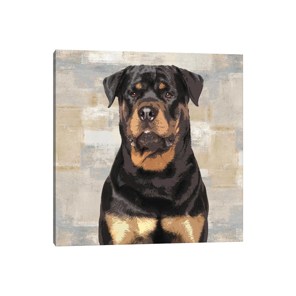iCanvas "Rottweiler" by Keri Rodgers Canvas Print