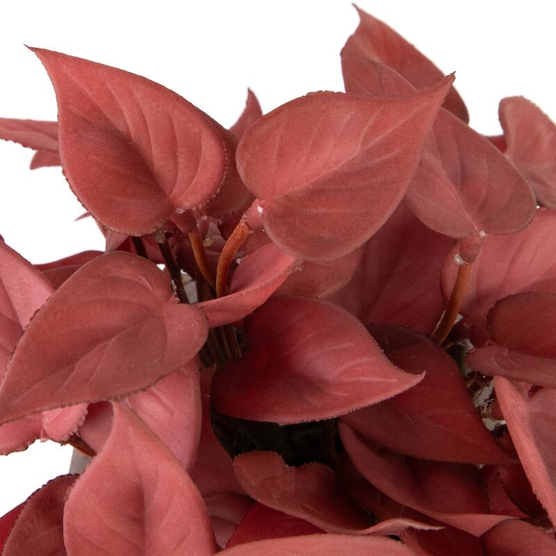 Brick Red Artificial Peperomia Plant In Square Lattice Designed Pot 7 "