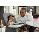 preview thumbnail 9 of 12, 4-in-1 High Chair | Grows with Child with 4 Modes