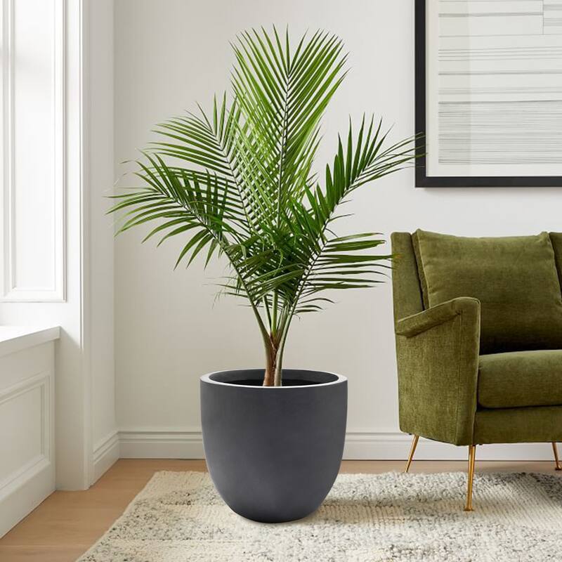 Tapered Round MgO Planter, Indoor and Outdoor - MEDIUM - Grey