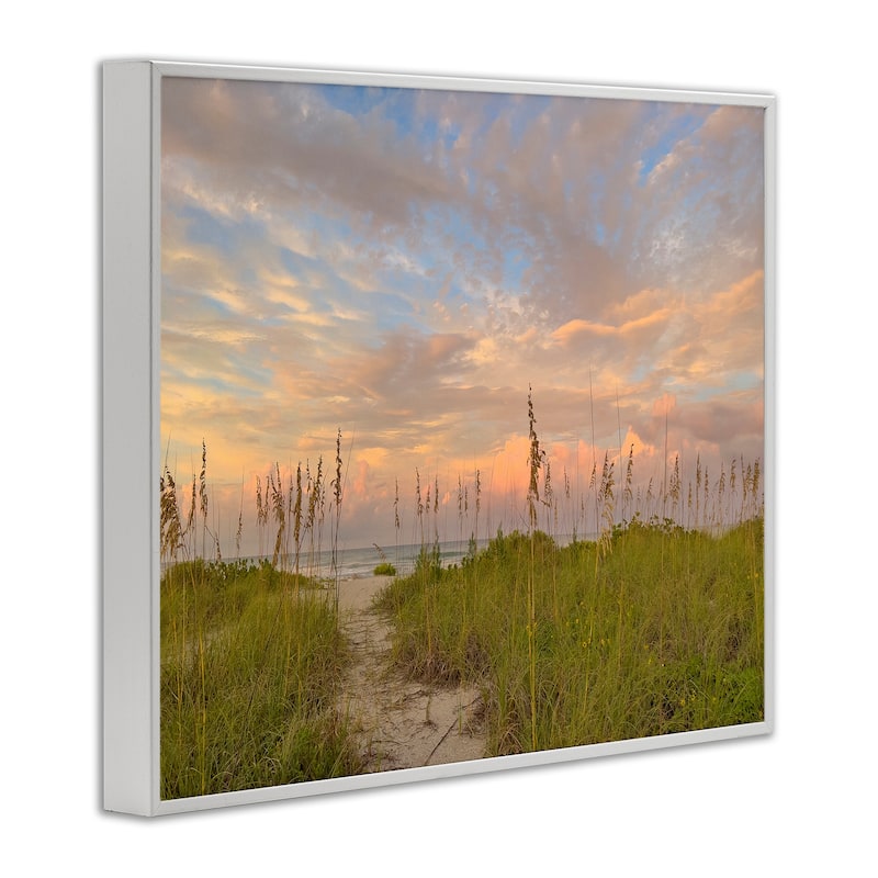 Stupell Serene Coastal Path Grasses Framed Giclee Art Design By Mary Lou Johnson