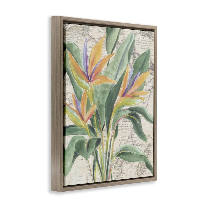 Stupell Bird of Paradise over Map Framed Floater Canvas Wall Art Design By June Erica Vess