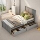 preview thumbnail 12 of 20, Twin Platform Storage Kids Bed with 2-Drawers, Sturdy Wood Frame, Space-Saving, Espresso Grey
