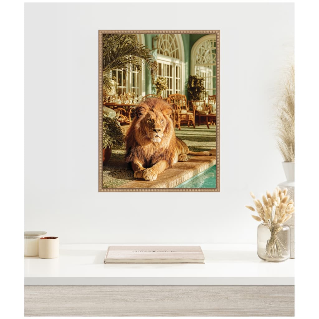 Kate and Laurel Majestic Lion by the Pool by Michael Schauer Framed Canvas Wall Art Print