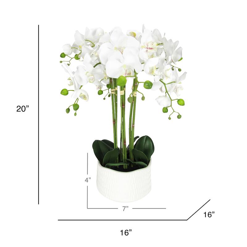 Cream White Artificial Phalaenopsis Orchid Flower Arrangement 6 Stem in Textured Cream Ceramic Pot 20in