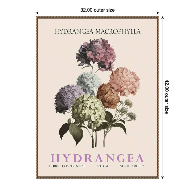 Vintage Botanical Hydrangea Illustration by Christopher Giampietro Framed Canvas Wall Art Print - Gold - 32 x 42 in