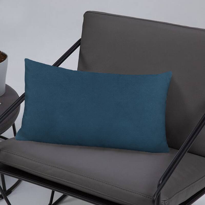A1HC Set of 2 Luxurious Fine Soft Velvet Throw Pillow Covers Only, For Sofas, Beds, Vibrant Colors and Hidden Zipper
