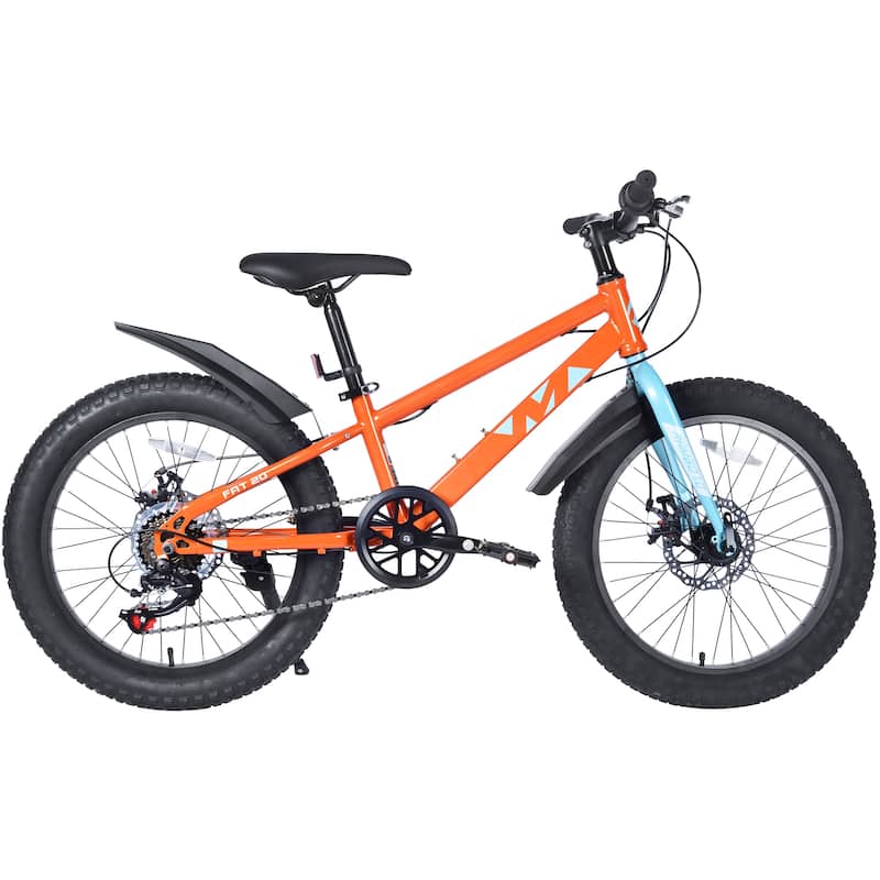 Kids' Fat Tire Bike - Dual-Disc Brake, Shimano 7-Speed, Beach/Snow Bicycle, Unisex - 20