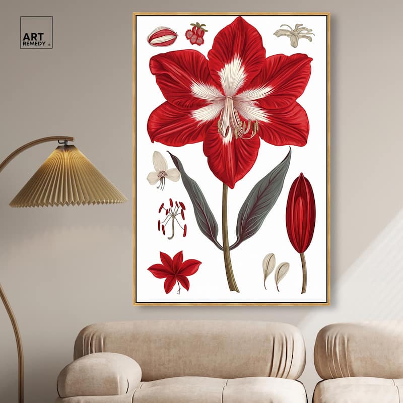 Amaryllis Anatomy Canvas by Art Remedy