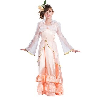 fairy princess dress up costumes