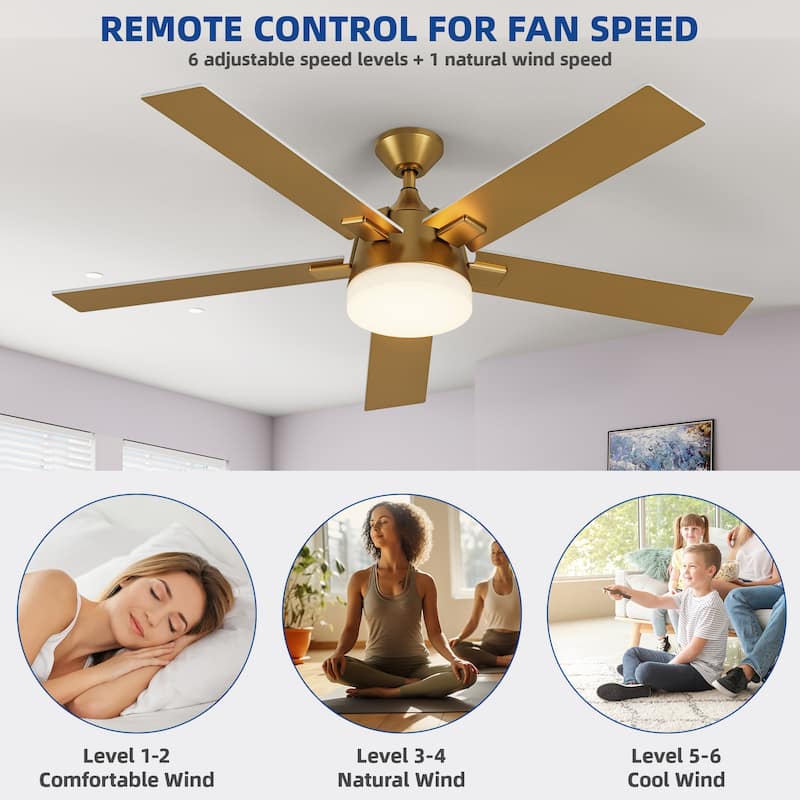Moasis 5 Blade Ceiling Fan 52 Inch Modern Black and Gold Ceiling Fan - 52"L x 52"W x 15.3"H