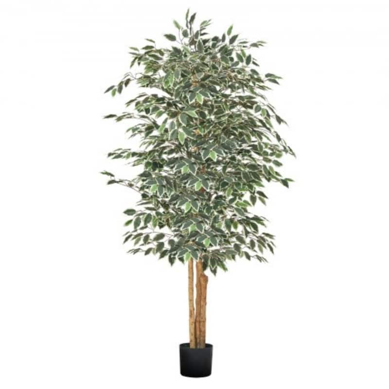 6ft Ficus Tree Artificial Plant with Lifelike Green Leaves and Flexible Branches for Home Decor - 34.65 x 34.65 x 72.83 in